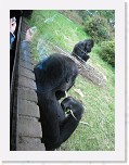 Dierentuin Burgers  Zoo 105 * 3648 x 2736 * (5.68MB)